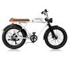 24" Fat Tire 1000W Electric Cafe Racer E-Bike – Dual Suspension