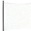 Complete Badminton Set – 4 Rackets, 3 Birdies, Regulation Net with Poles & Carry Bag | Outdoor Backyard Family Game Set