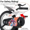 16 Inch Sporty Kids’ Bike with Training Wheels & Kickstand – Adjustable Saddle | Ages 4–8 (Height 41–46")