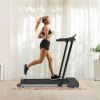 Home Treadmill with LED Display | Compact Walking & Running