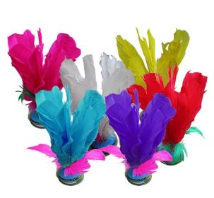 10 Pcs Exercise Feather Kick Shuttlecock | Chinese Jianzi