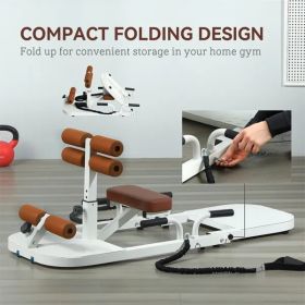 Foldable Sissy Squat Machine – Quad, Glute & Hip Thrust Station