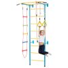 5-in-1 Indoor Jungle Gym for Toddlers | Carbon Steel Swedish Ladder