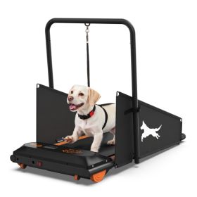 Pet Dog Treadmill for Small & Medium Dogs (Up to 220 lbs) | LCD Display