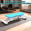 Indoor Sliding Ski Simulator Blue with Resistance Bands | Home Gym