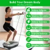 Whole Body Vibration Technology — Activates deep muscle groups to enhance calorie burn and improve strength.