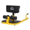 Soozier 3-in-1 Sissy Squat Machine Home Gym Trainer