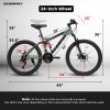 A2460 24-Inch Full Suspension Mountain Bike – 21 Speed & Disc Brakes