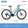 A28250 Urban Commuter Road Bike | 700Cx35 | 21-Speed Disc