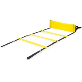 Raised Agility Ladder (Option: 20 rungs)