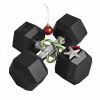 Hex Rubber Dumbbell Set | No-Roll Free Weights