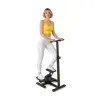 Multi-Functional Step & Twist Exercise Stepper
