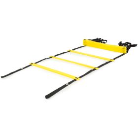 Raised Agility Ladder (Option: 12 rungs)