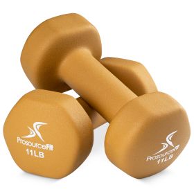 Neoprene Dumbbells (Option: 11lb)