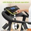 Rehabilitation Treadmill with Safety Handrails & LED Display