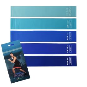 5-Piece Gradient Resistance Band Set (Color: Gradient Blue)