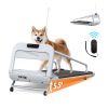 Smart Pet Treadmill for Small & Medium Dogs
