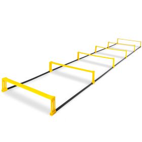 Raised Agility Ladder (Option: 6 rungs)
